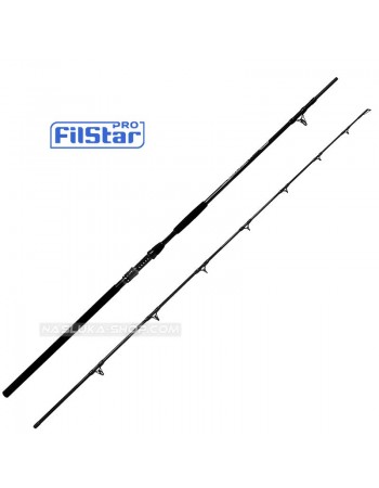 Въдица за сом FilStar Cat Master - 3.10м 500г