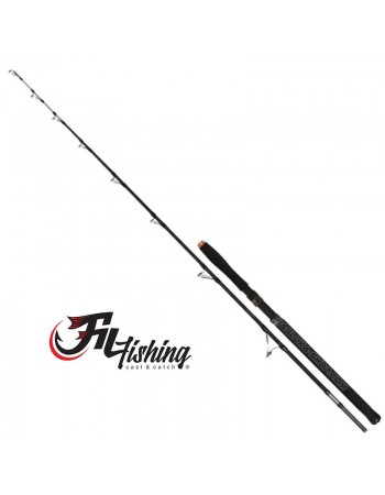 Въдица за сом Fil Fishing Hercules Catfish 1.98м 100-300г