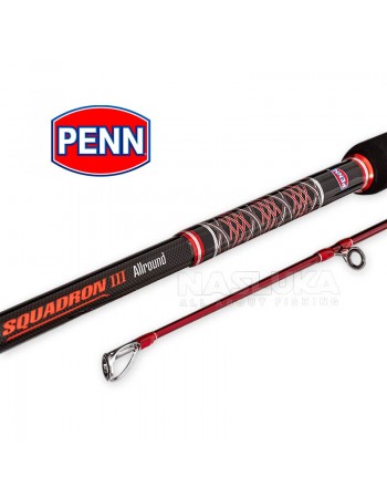 Въдица за сом и морски риболов Penn Squadron III Allround 2.70м 100-300г